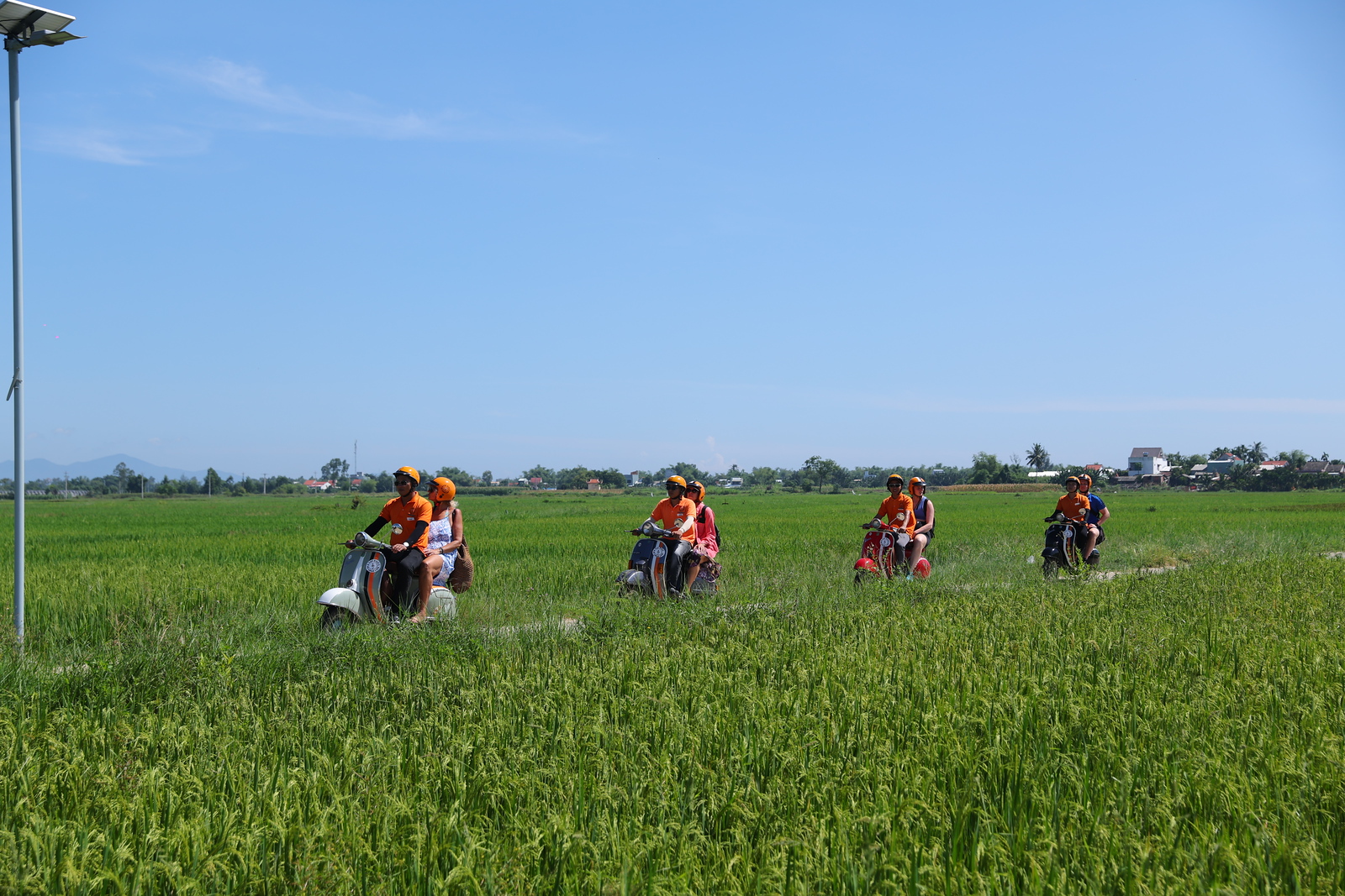 CB5 - Illustration image