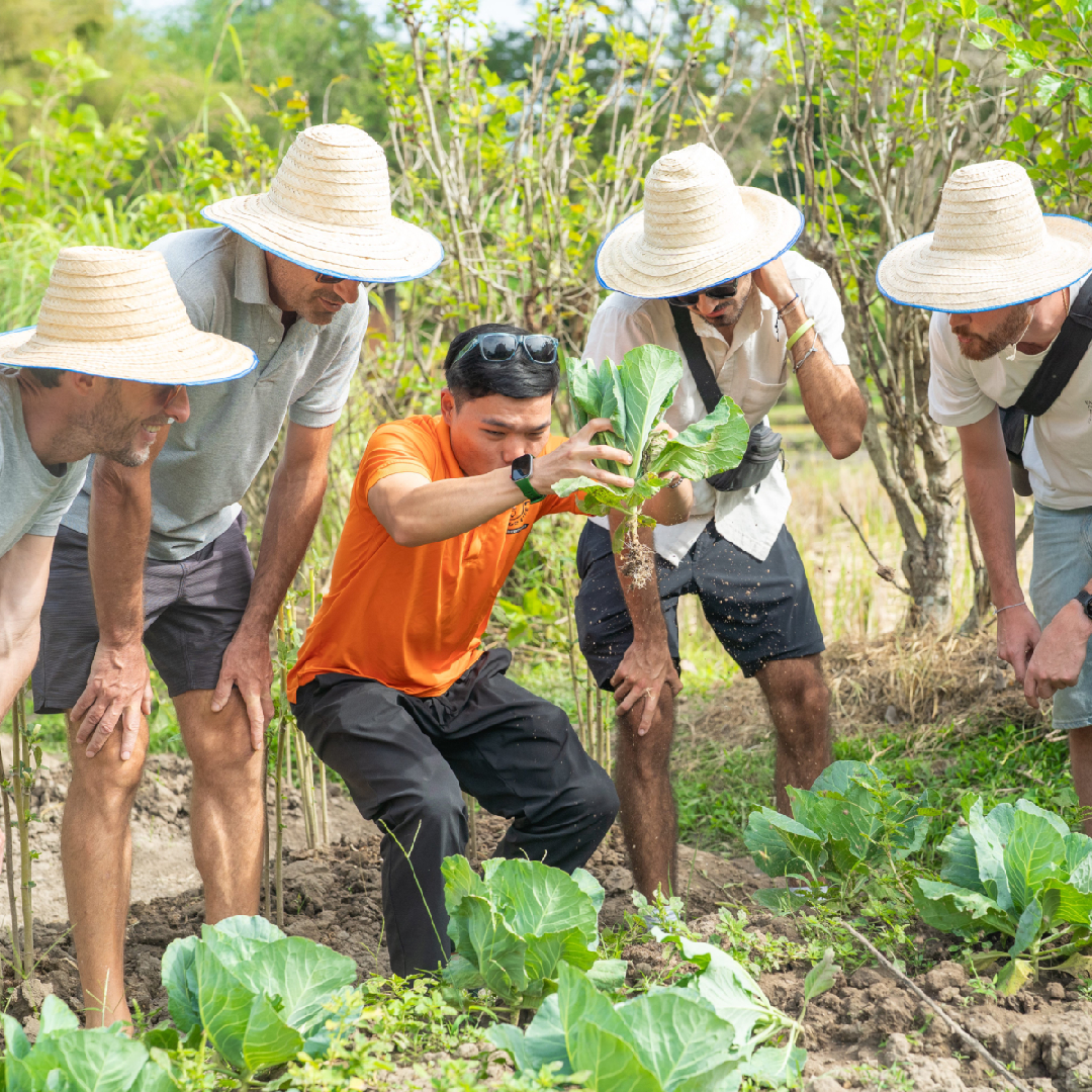 CMC - Illustration image