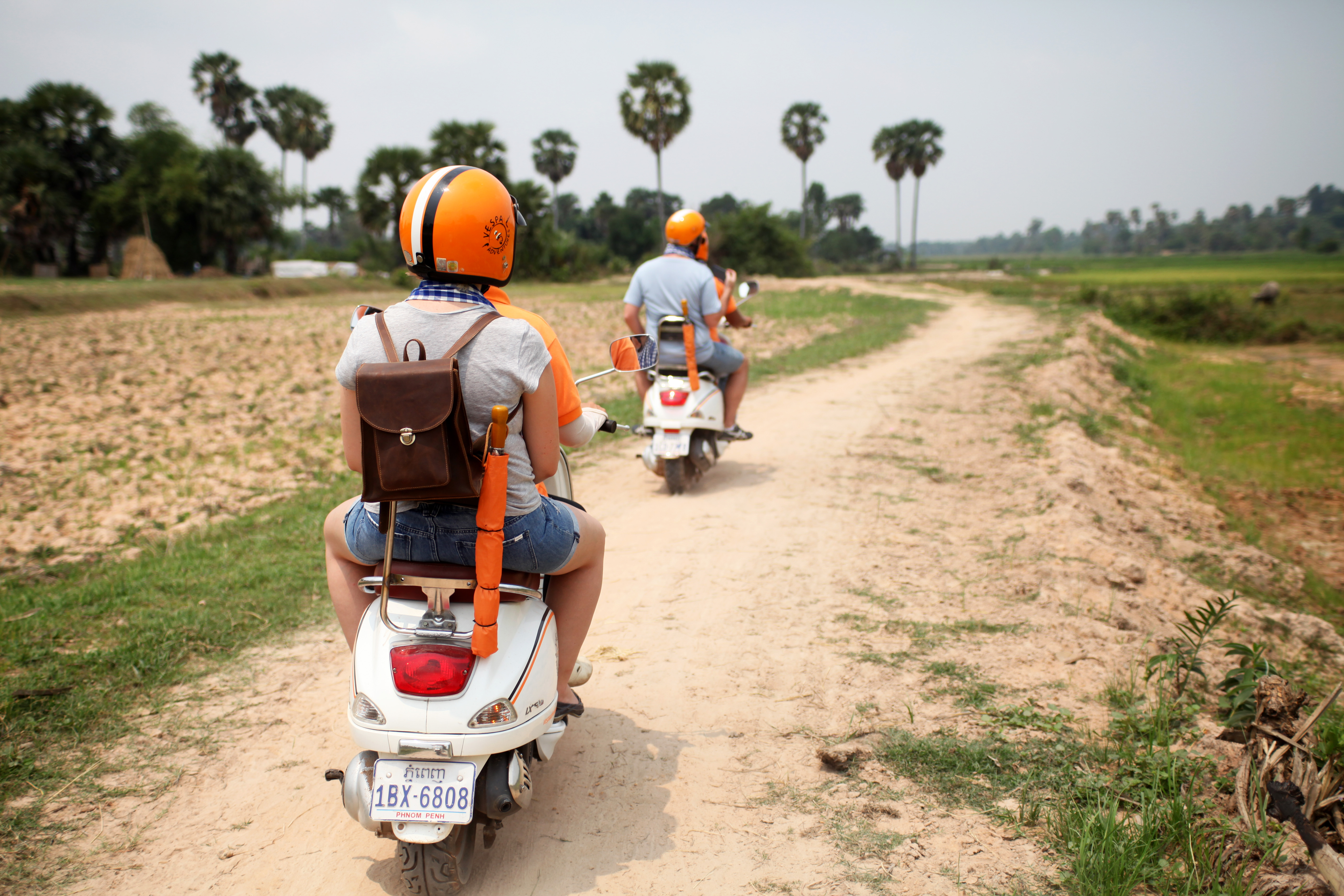 CLT - Illustration image